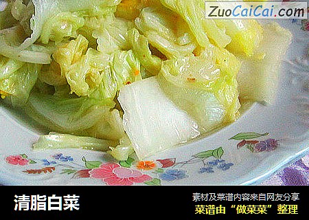 清脂白菜