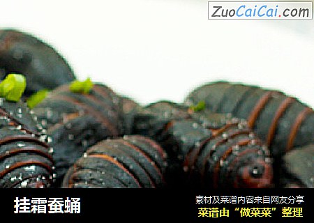 挂霜蚕蛹