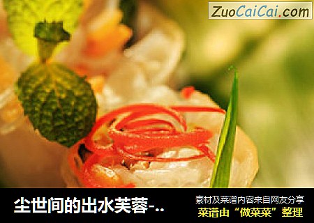 尘世间的出水芙蓉---海螯虾水晶卷