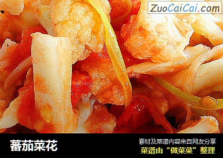 蕃茄菜花