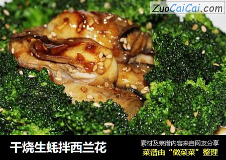 干烧生蚝拌西兰花