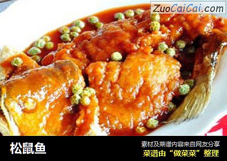松鼠鱼