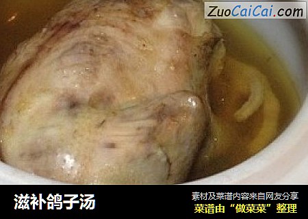 滋补鸽子汤