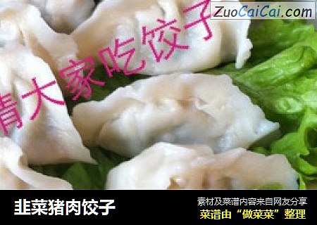 韭菜猪肉饺子