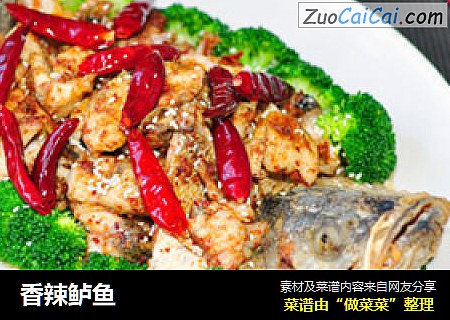 香辣鲈鱼