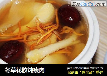 冬草花胶炖瘦肉