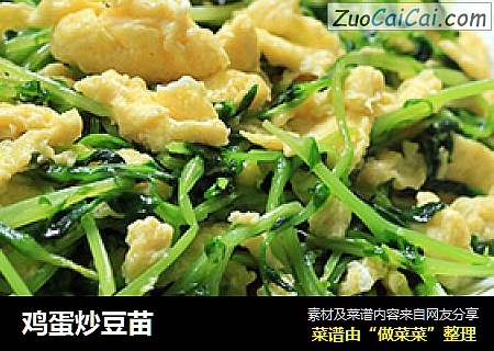 鸡蛋炒豆苗