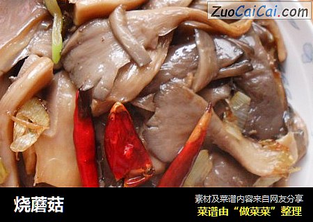 烧蘑菇