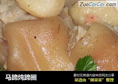 马蹄炖蹄圈