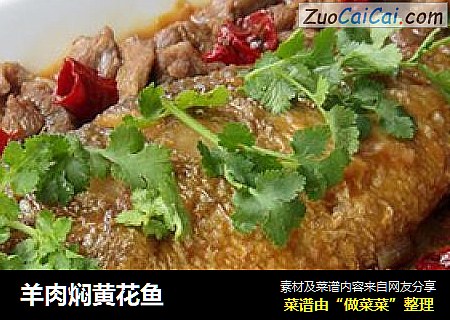 羊肉焖黄花鱼