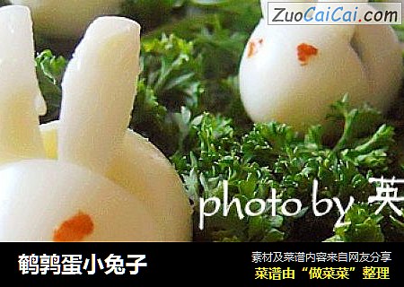 鹌鹑蛋小兔子