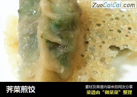 荠菜煎饺