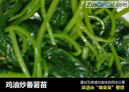 鸡油炒番薯苗