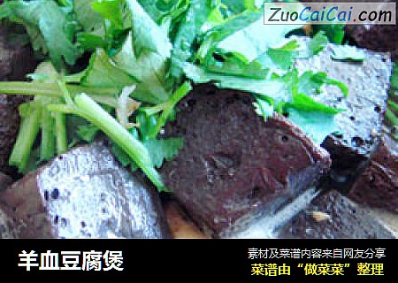羊血豆腐煲