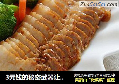 3元钱的秘密武器让面包机变烤箱轻松打造美味烤肉：香烤五花肉