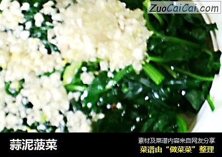 蒜泥菠菜