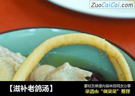 【滋补老鸽汤】