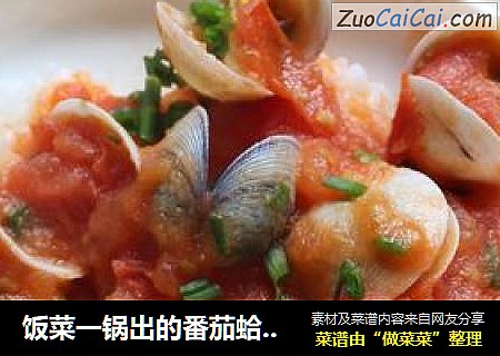 饭菜一锅出的番茄蛤蜊烩饭