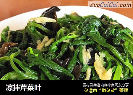 凉拌芹菜叶