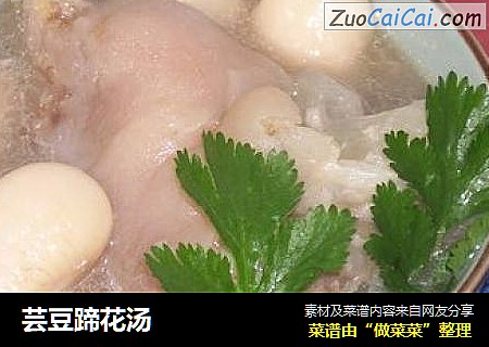 芸豆蹄花汤