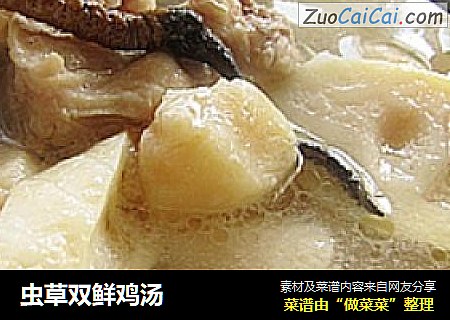 虫草双鲜鸡汤