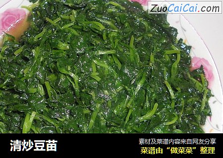 清炒豆苗