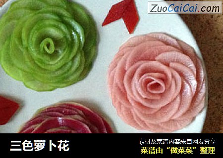 三色萝卜花