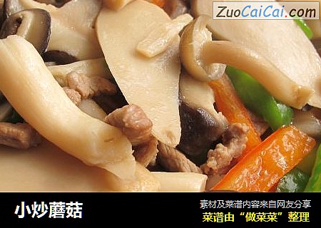 小炒蘑菇