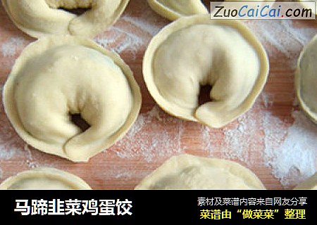 马蹄韭菜鸡蛋饺