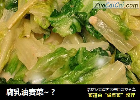 腐乳油麦菜~ ?
