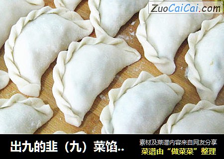 出九的韭（九）菜馅饺子----如何调韭菜馅不出水？