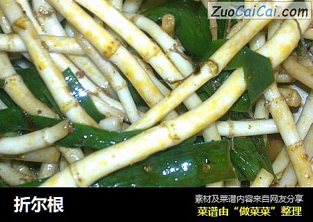 折尔根