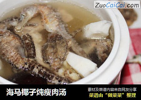 海马椰子炖瘦肉汤