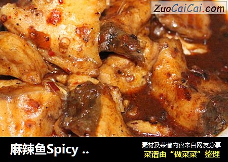 麻辣鱼SpicyFish