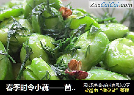 春季时令小蔬——茴香蚕豆