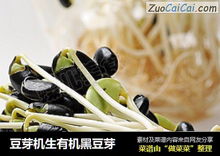 豆芽机生有机黑豆芽