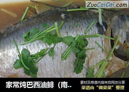 家常炖巴西油鲱（南美快鱼)
