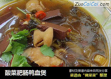 酸菜肥肠鸭血煲