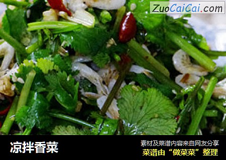 凉拌香菜