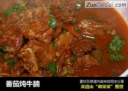 番茄炖牛腩