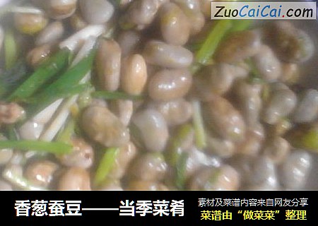 香葱蚕豆——当季菜肴