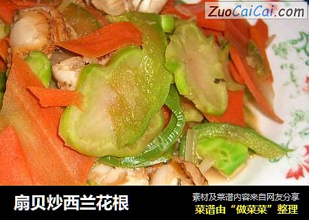 扇贝炒西兰花根