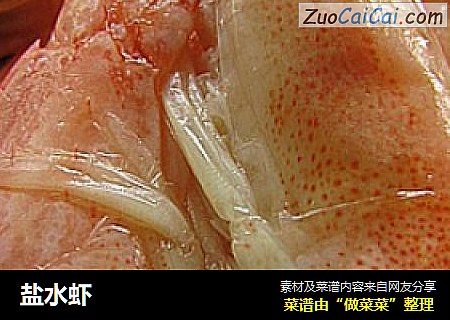 盐水虾