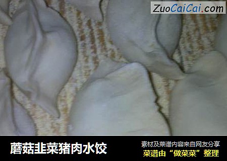 蘑菇韭菜猪肉水饺
