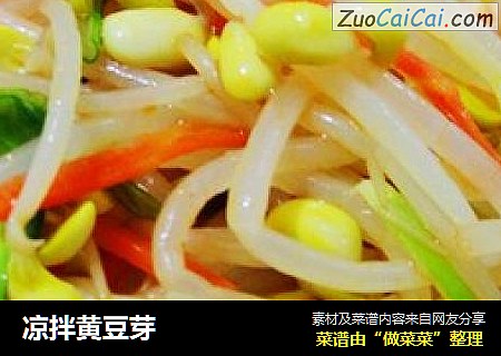 凉拌黄豆芽