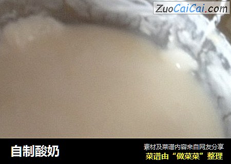 自制酸奶