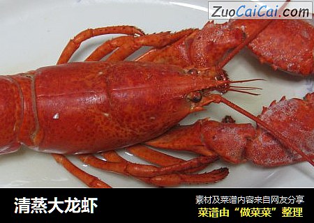 清蒸大龙虾