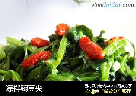 凉拌豌豆尖