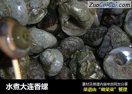 水煮大连香螺