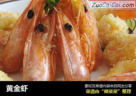 黄金虾